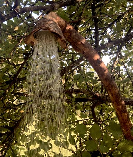 Freiluft-Dusche aus Natur-Ast unter Bäumen