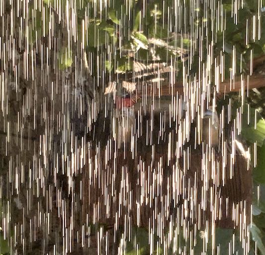 Close-up Wassertropfen im Freien