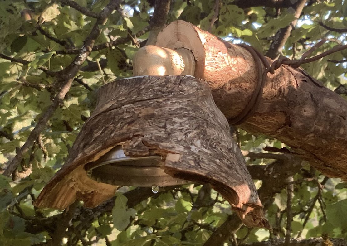 Holz-Duschkopf aus Naturholz