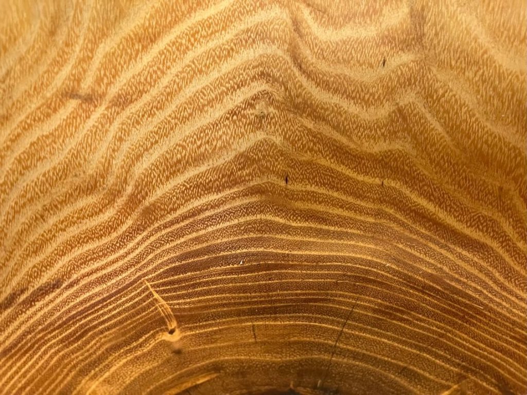 Detail Maserung Robinienholz