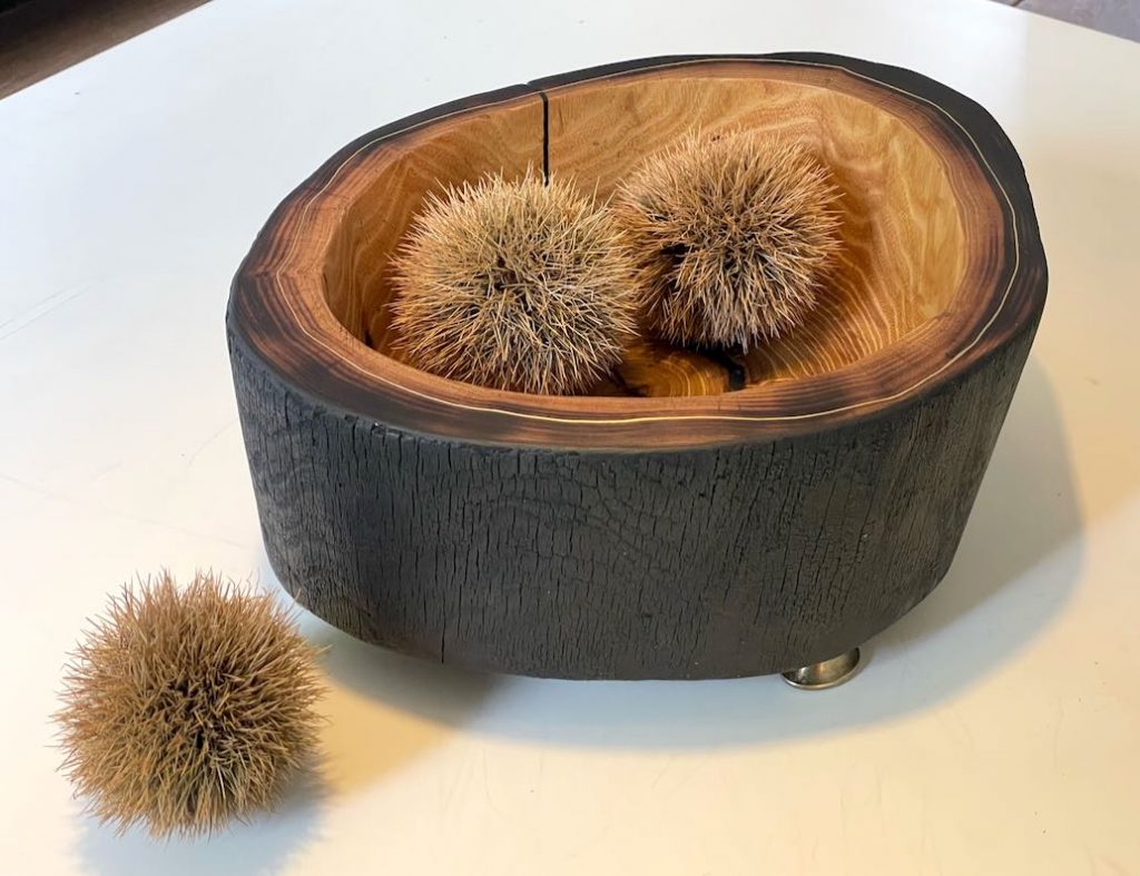 Holzschale aus geschwärztem Robinienholz auf weißem Tisch mit Kastanien